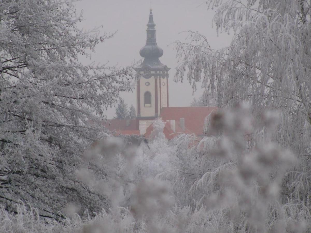 Obora 827 Nova Bystrice Villa Luaran gambar